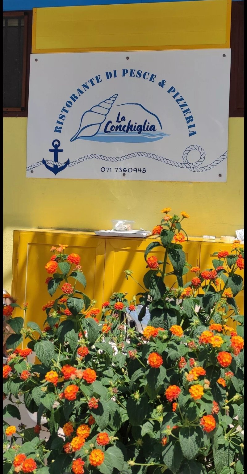 La conchiglia