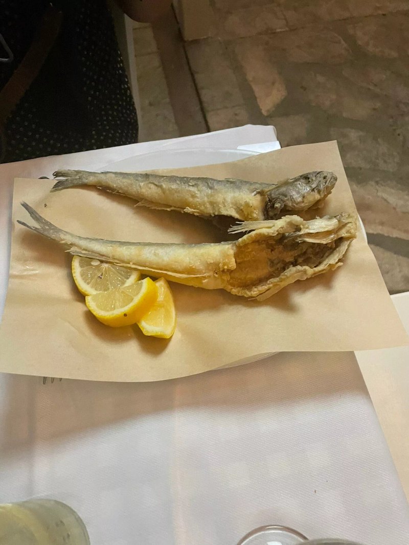 Traditional Greek Tavern Kostas