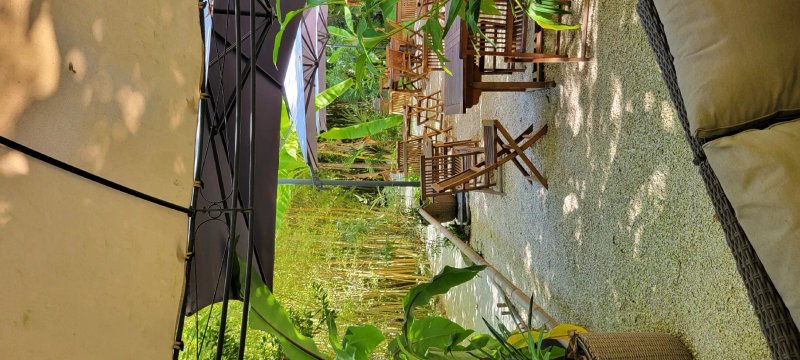 Bar - Restaurant De La Bambousaie