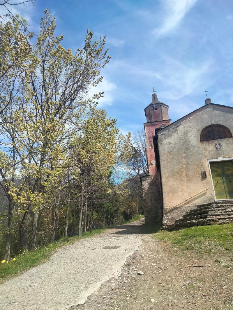 Agriturismo La Quiete