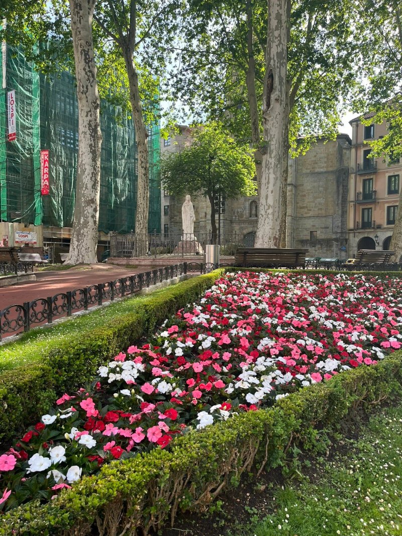 Sercotel Ayala