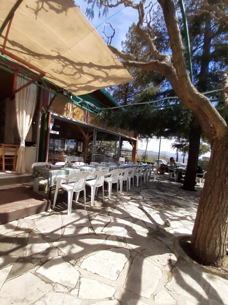 Sequoia Taverna