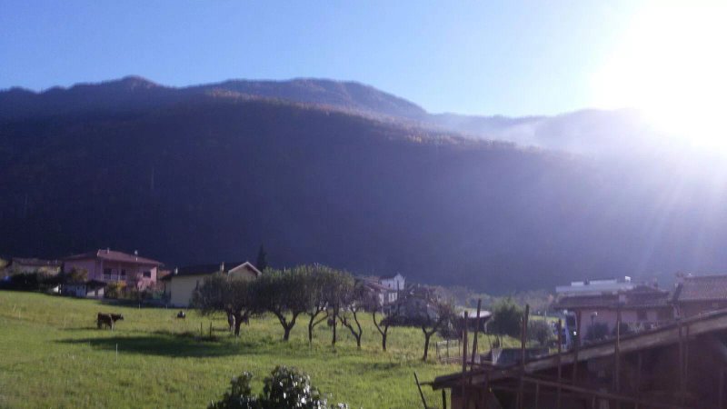 Al Molin Agriturismo