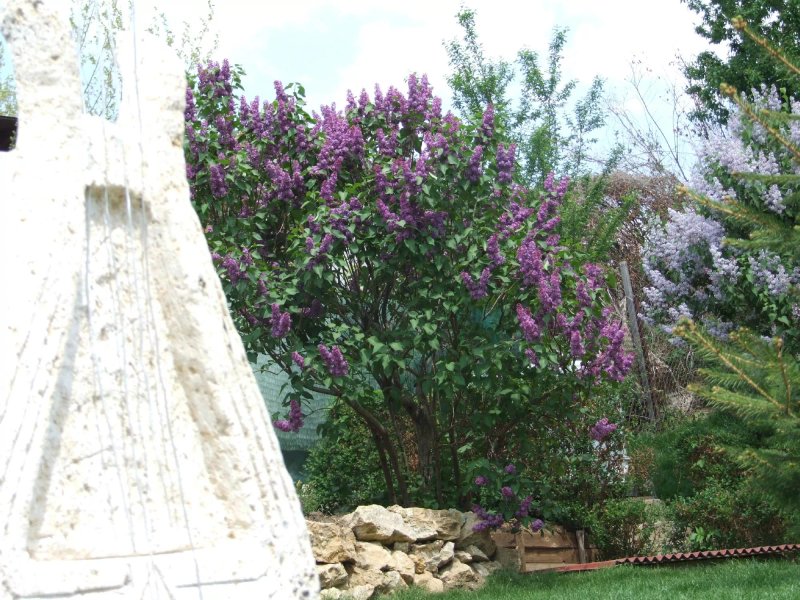 Casa Colinelor