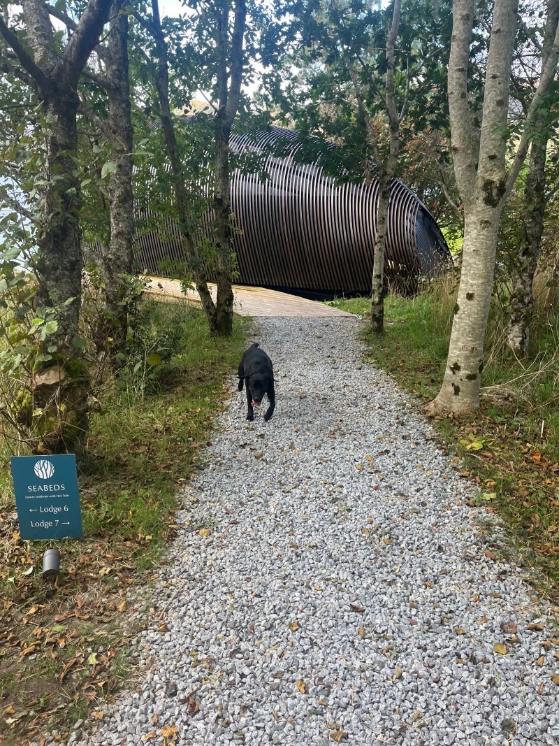 Seabeds Luxury Lookouts Lodges @ Woodlands Glencoe