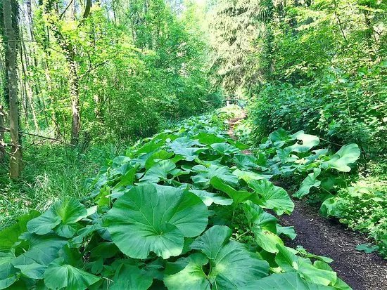 Arboretum des Pres des Culands