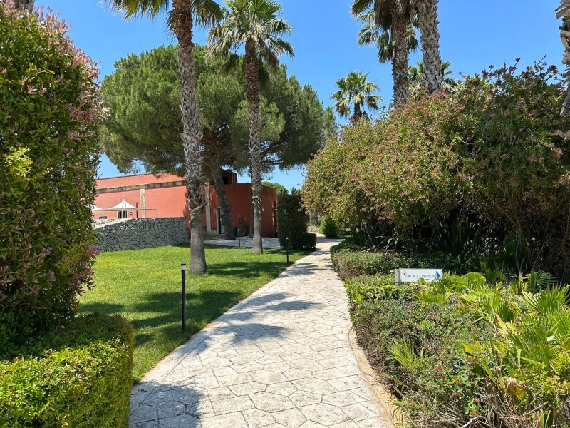 Torcito Resort Sport Village