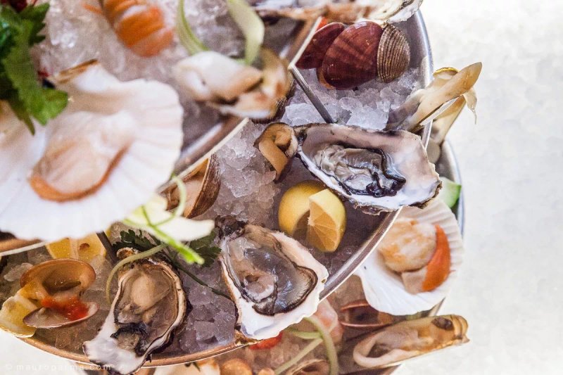 Trattoria Il Cormorano