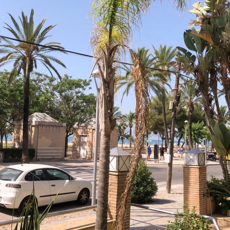 Marea Aparthotel