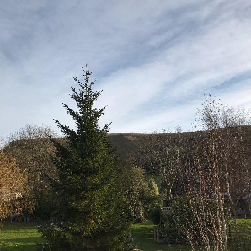 Tovey Lodge