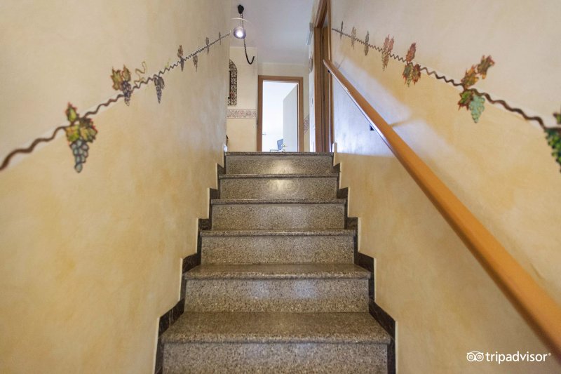 Bed and Breakfast Il Vigneto
