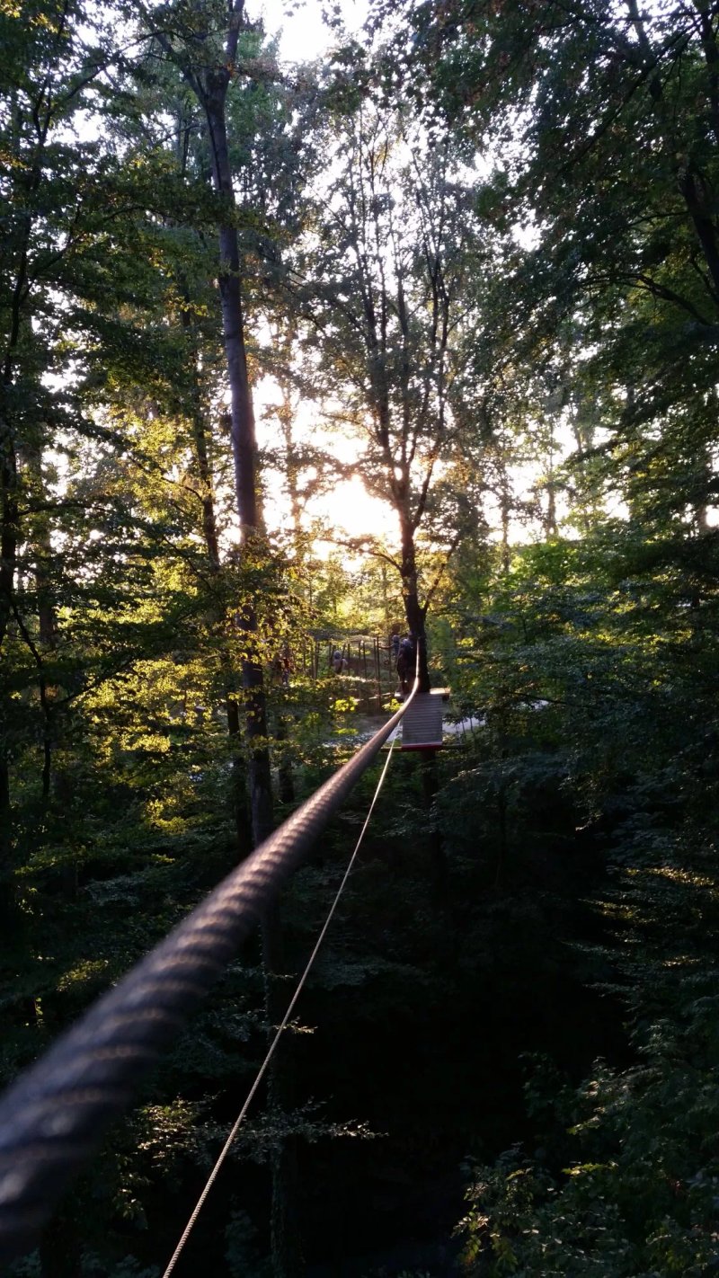 Skypark Kletterwald