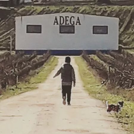Adega Do Calisto