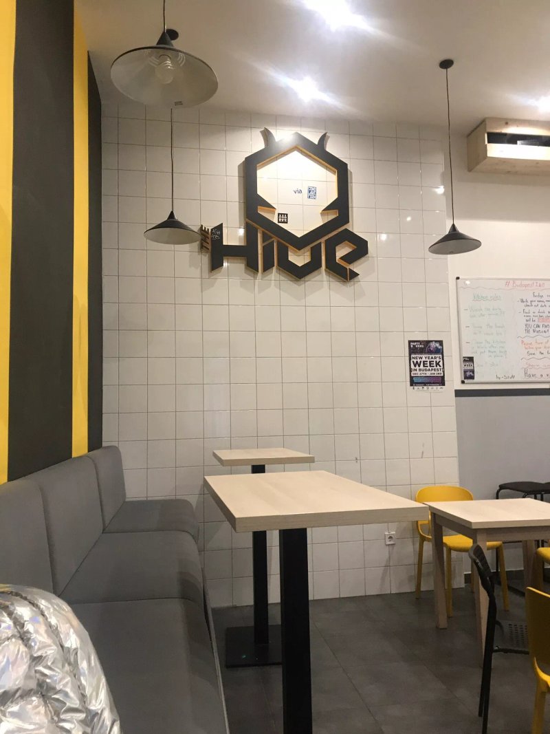 The Hive Party Hostel