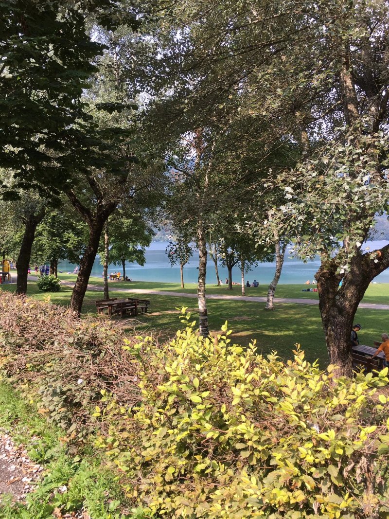 Family Wellness Camping Al Sole