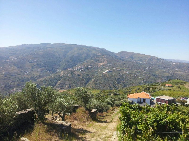 Casa da Quinta de Vale D'Arados