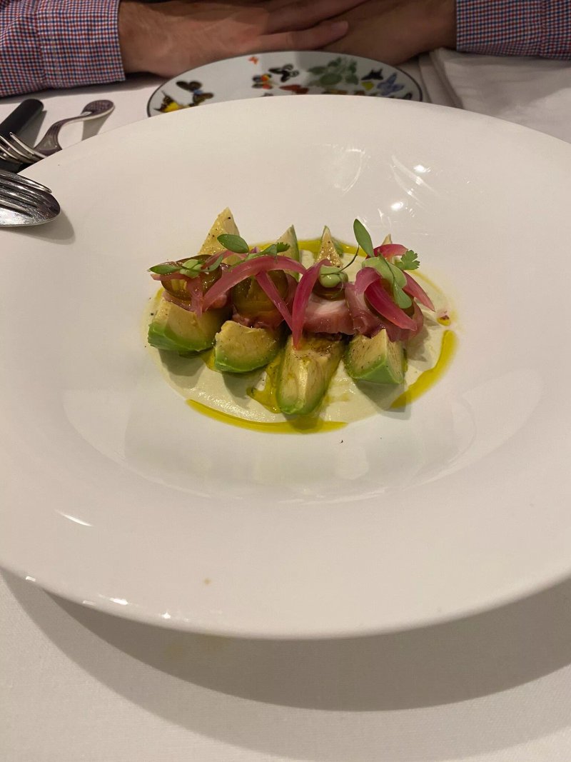 Camelia Food and Art