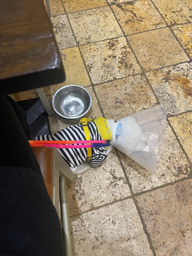 Urban Kitchen & Coffee Co