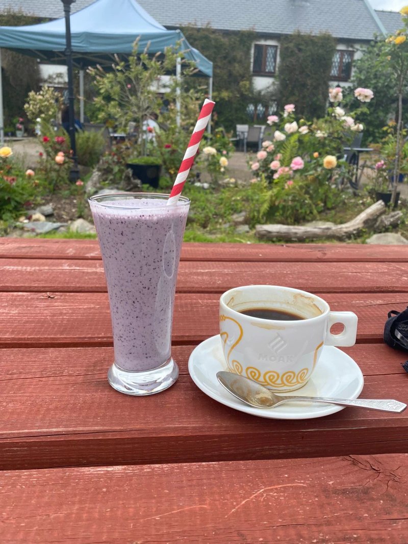 Creacon Wellness Retreat