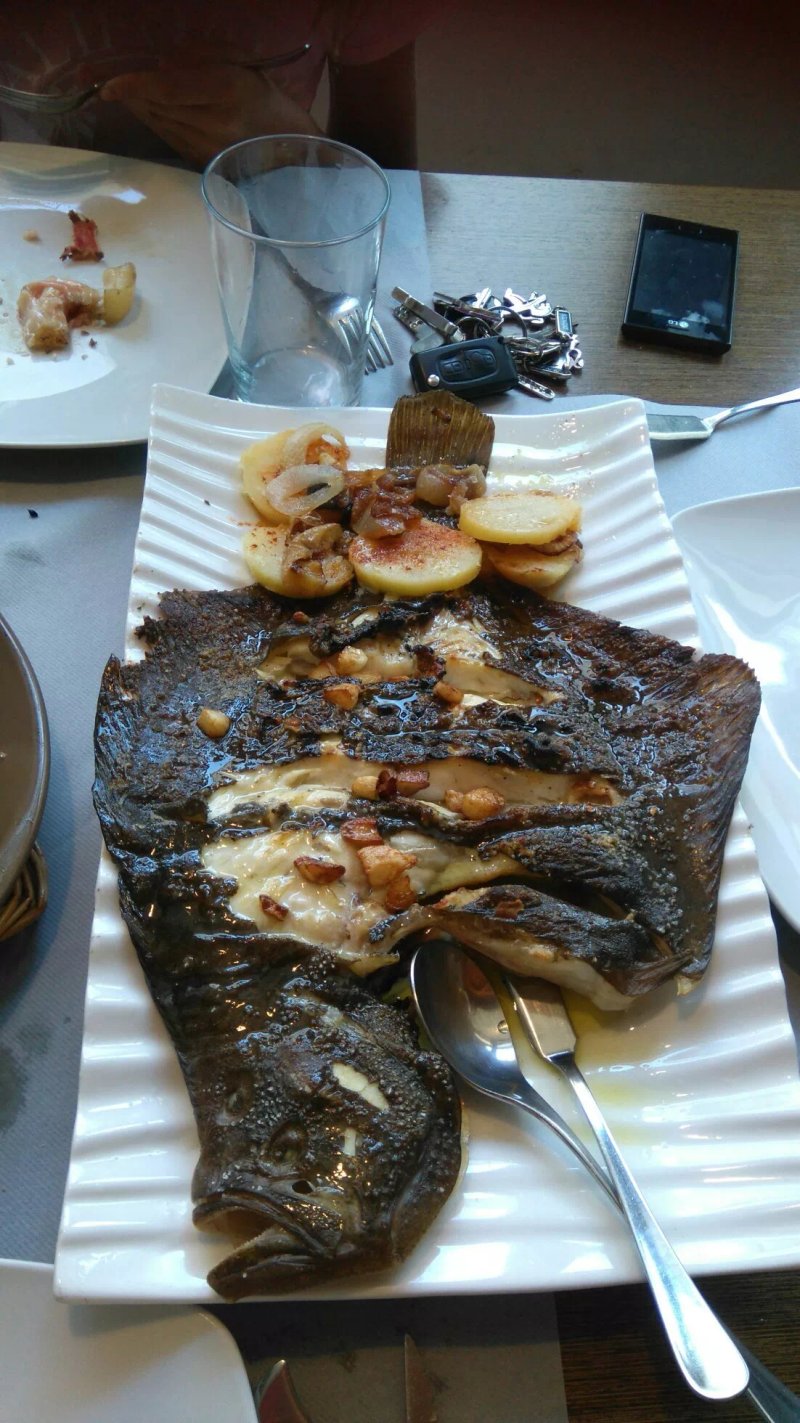 Ardo Berri