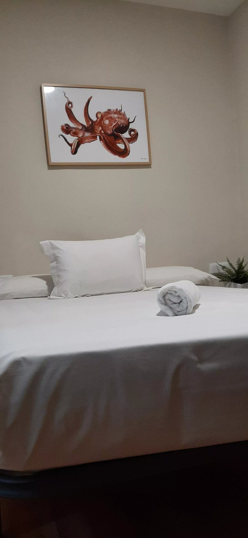 Hotel Celta