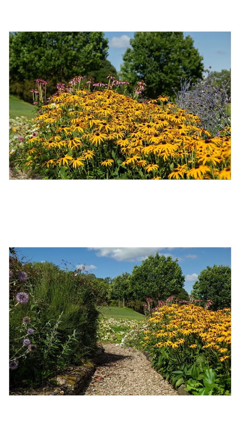 Pitlands Farm