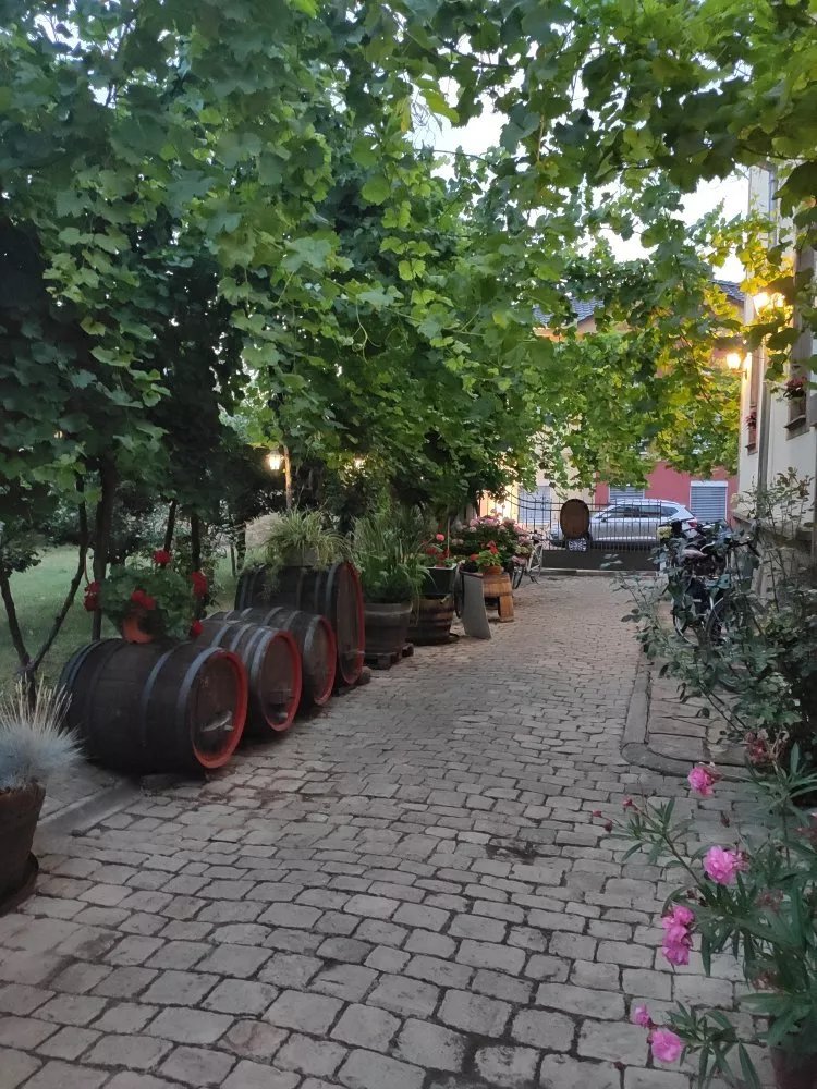 Haus Thiel
