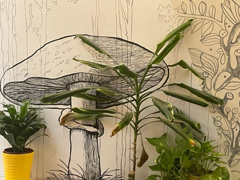 Ristorante Flora