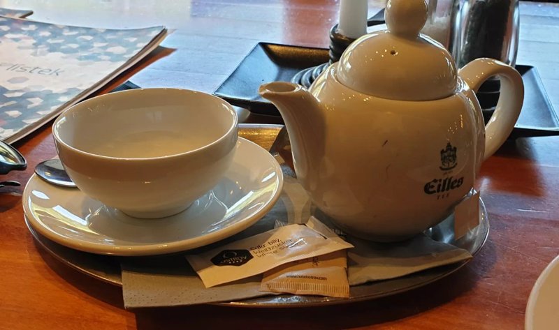 Hotel Ostrov - Restaurant
