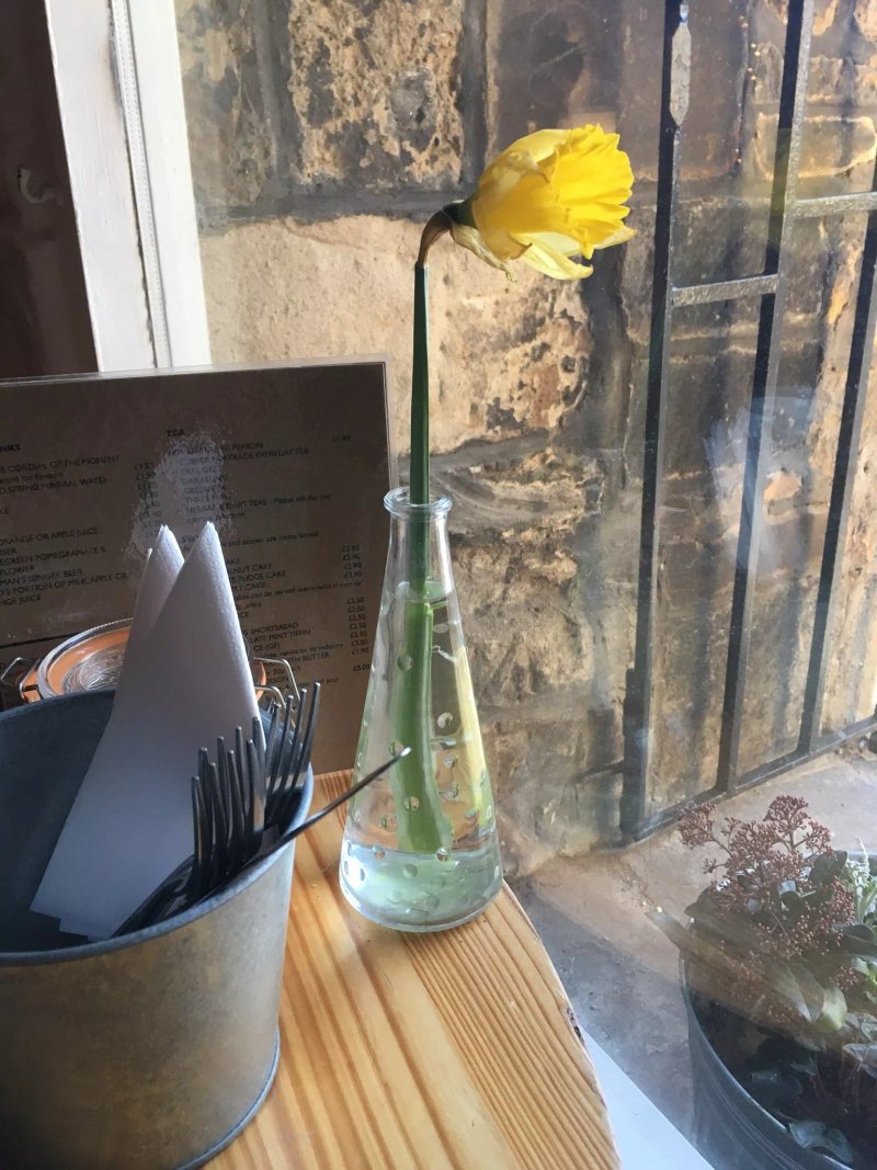 Darnley Coffee House