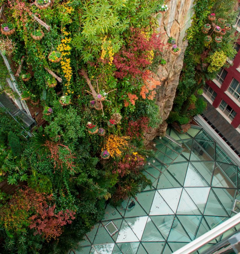 Inhala Hotel Garden