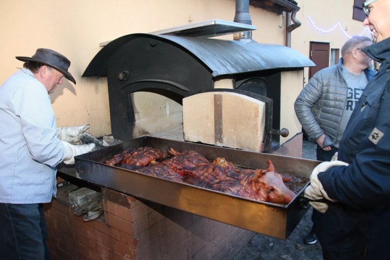 Backschwein-Tenne