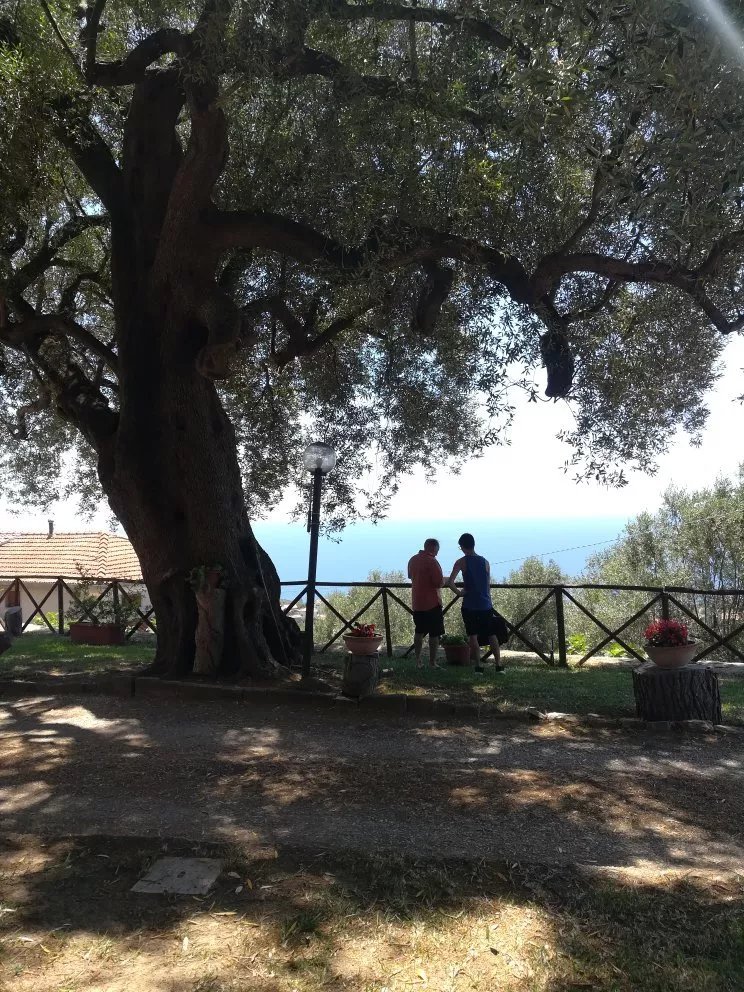 Agriturismo La Focazza