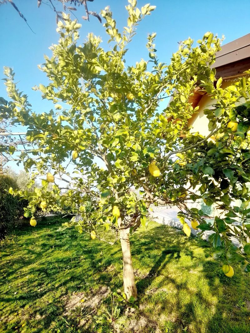 Agriturismo Ca' Belvedere