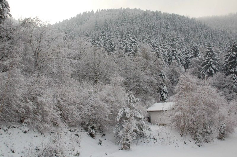 Logis Domaine Langmatt