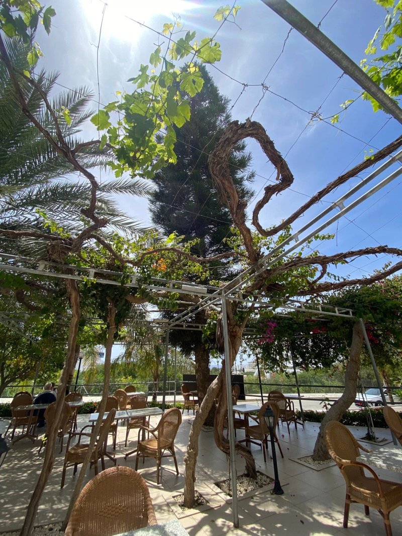 Corfu Hotel