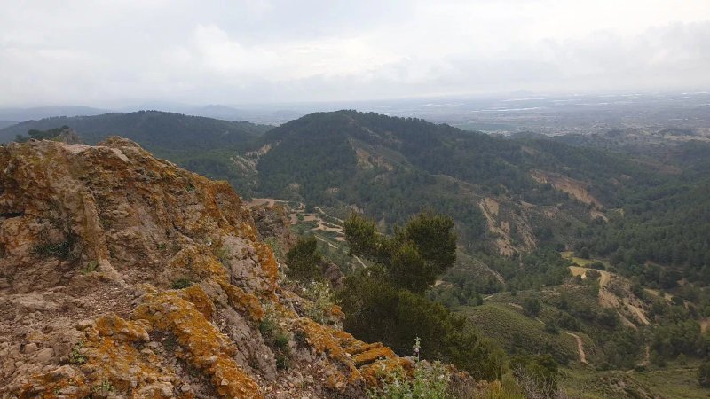 Pico Del Aguila