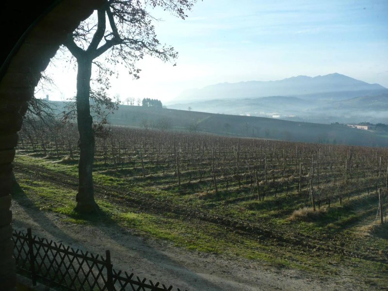 Country House Salomone