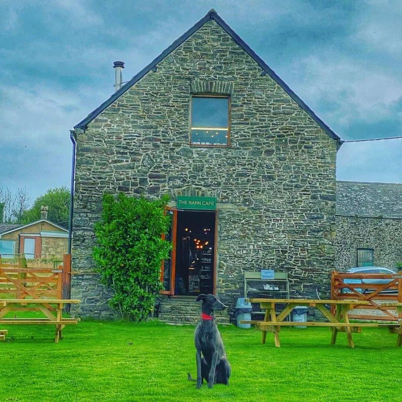The Barn Restaurant And Goat Garden