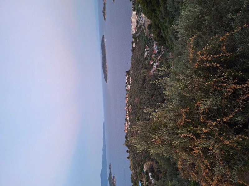 Skiathos Olive Thea Restaurant