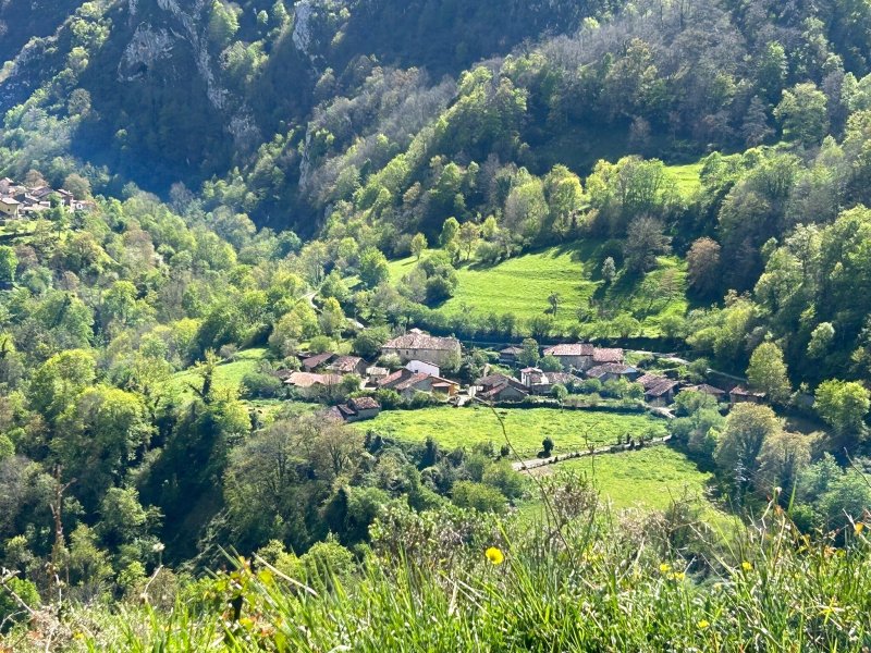 Casa Severa