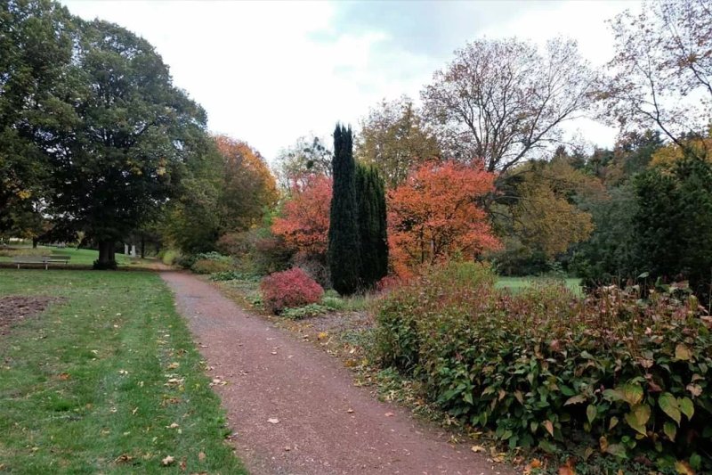 Kurpark