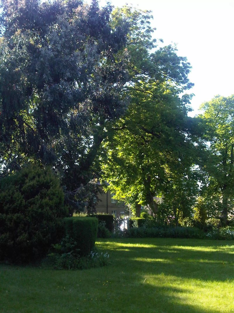 Ivy Guesthouse