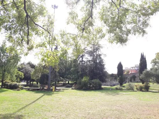 Parco di Monteoliveto