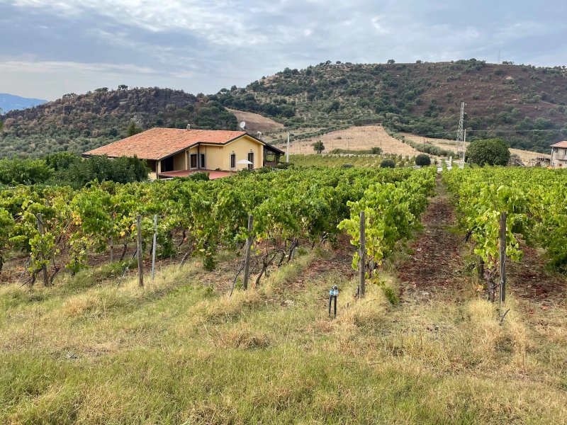 Antica Tindari