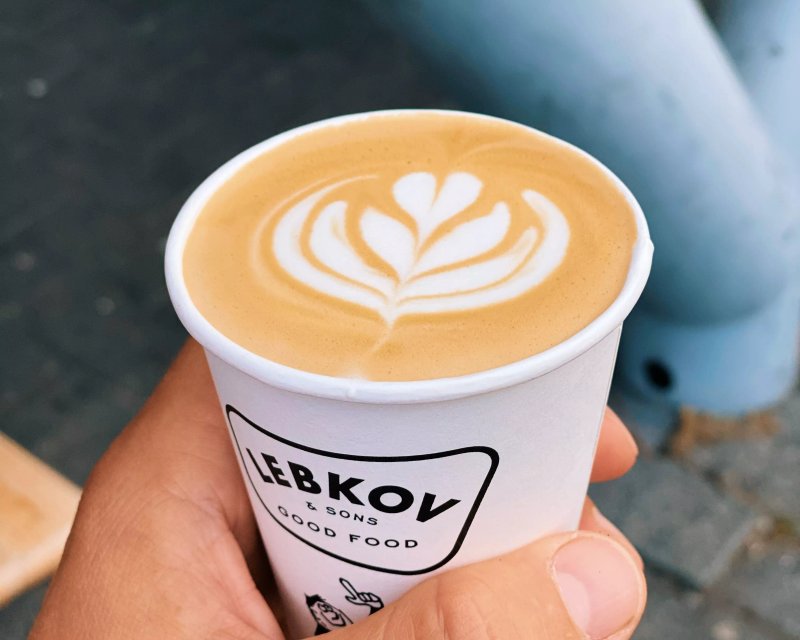 Lebkov & Sons