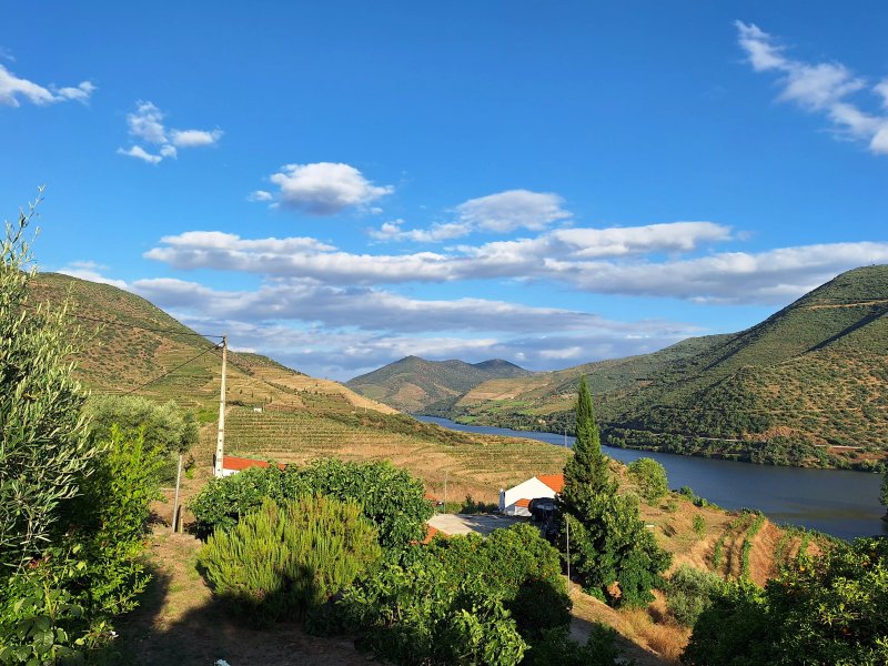 Negreiros Family, Hosting & Wine - Douro