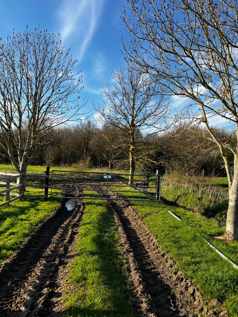 The Meadows At Polehanger