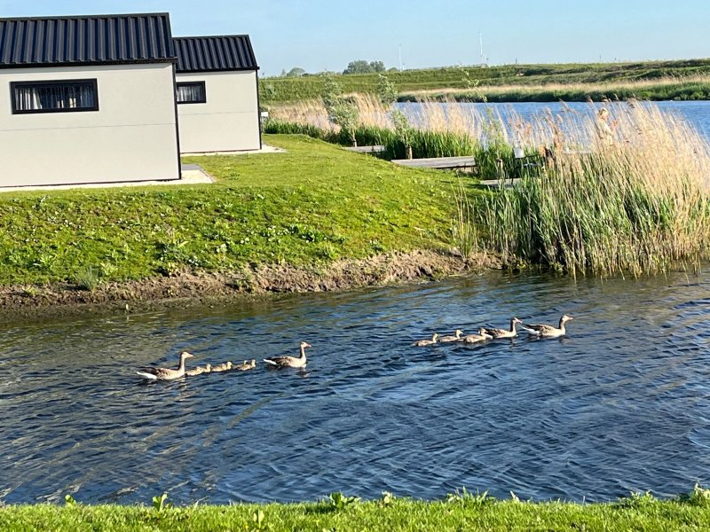 EuroParcs De IJssel Eilanden