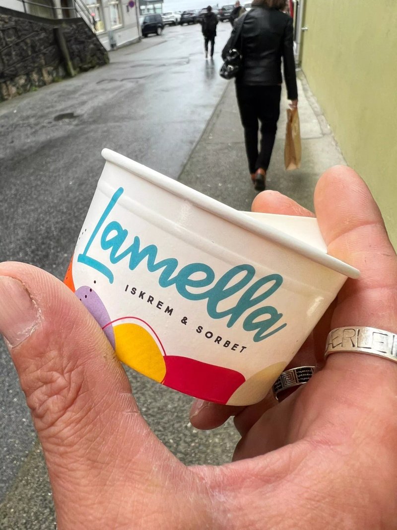Lamella